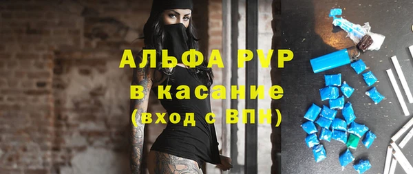 spice Арсеньев