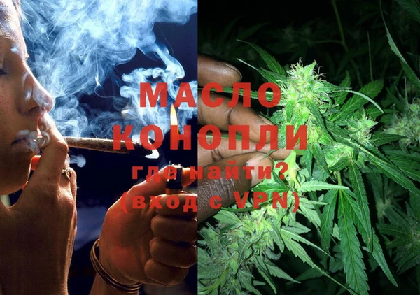 индика Армянск